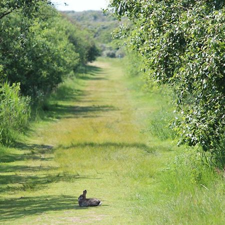 Seevilla Wietjes Whg 7 Baltrum Eksteriør bilde