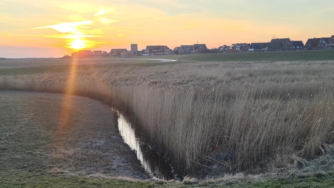 Seevilla Wietjes Whg 7 Baltrum Eksteriør bilde