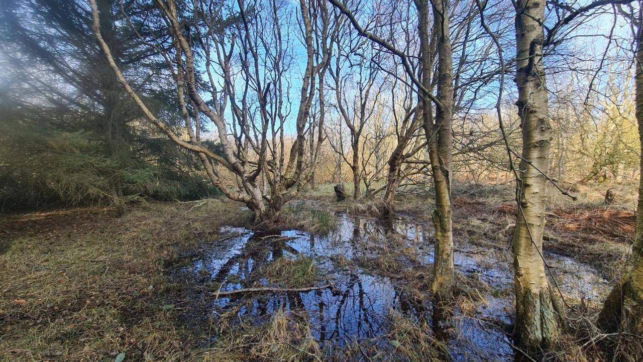 Seevilla Wietjes Whg 7 Baltrum Eksteriør bilde
